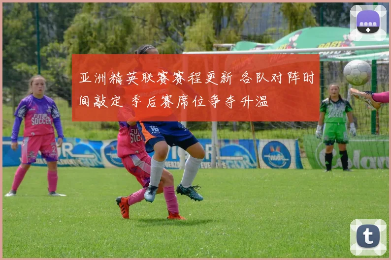 亚洲精英联赛赛程更新 各队对阵时间敲定 季后赛席位争夺升温